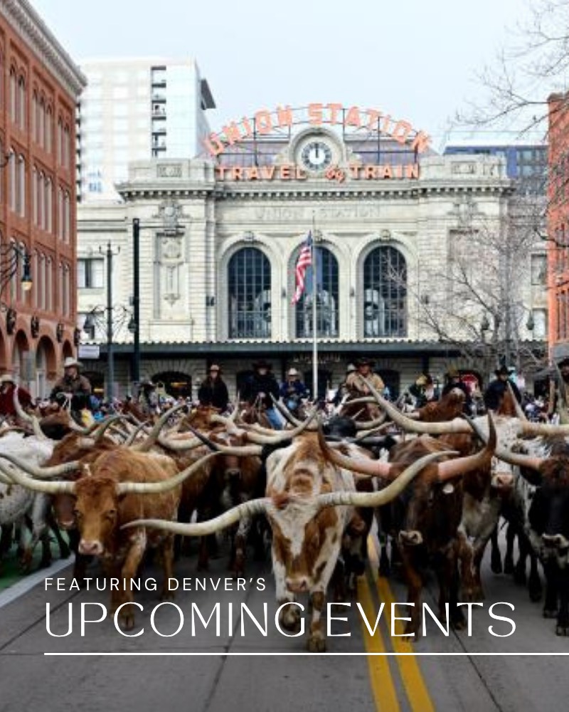 Neighborhood sTATS.zip - 5