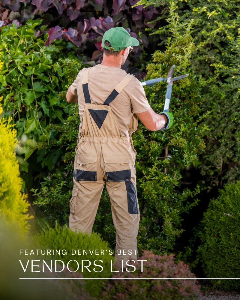 Neighborhood sTATS.zip - 8